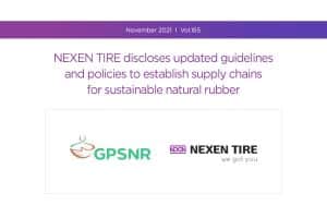 Sustainable tire brands in the UAE